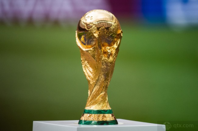 三角草的 三角草的