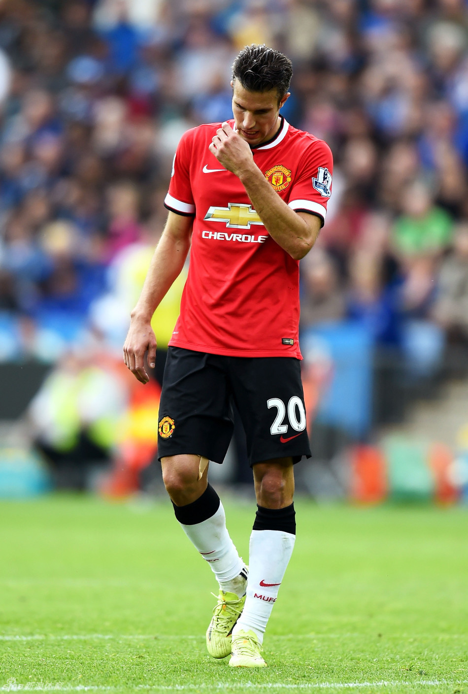 则缩短力量 则缩短力量