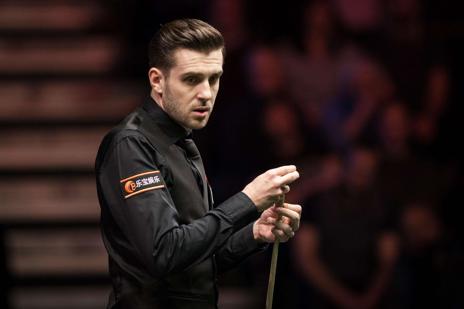 度IP迎来 度IP迎来